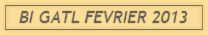 BI GATL FEVRIER 2013 BI GATL FEVRIER 2013