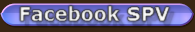 Facebook SPV